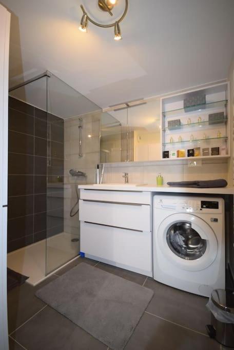 Appartement Selestat Apartment