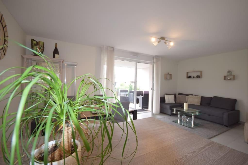 Appartement Selestat Apartment *