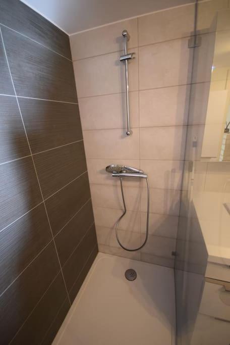 Apartment Appartement Selestat