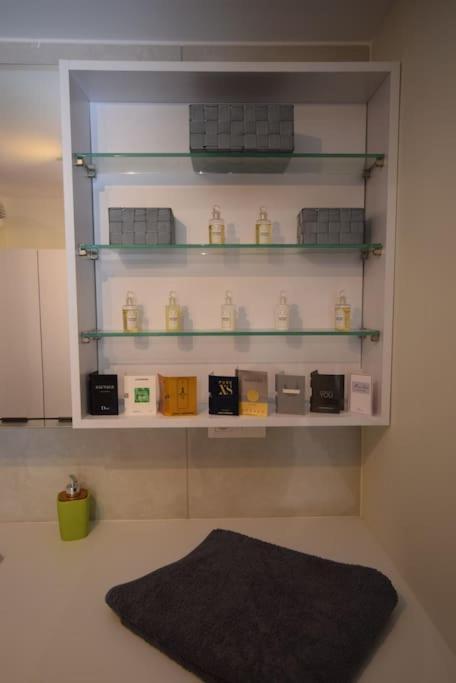 Appartement Selestat Apartment Selestat